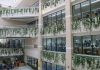 How to Get Smarter at the Shanghai Library For Free