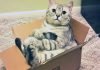 How To Ship Packages To Your Home Country