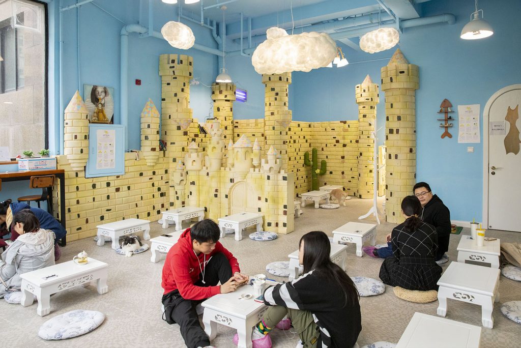 Qi Let Cat Café