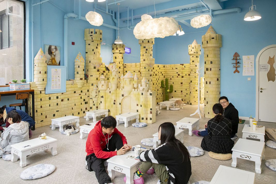 Qi Let Cat Café
